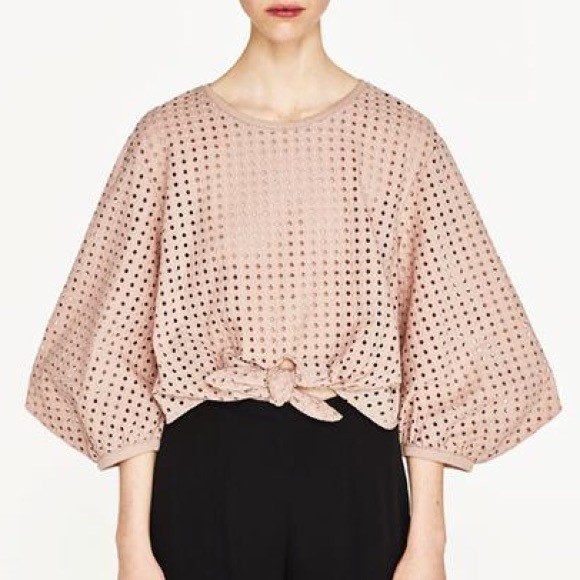 Zara Tops - Zara • Blush Embroidered Tie Front Blouse